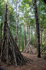 New England Fall Scenes From Hiking Trails in Massachusetts 