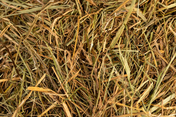 a pile of green straw for long-term storage