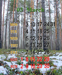 Obraz premium Calendar for March 2025 with photo of early spring. Daily organizer