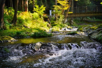 岐阜県八百津町　五宝滝公園に流れる清流