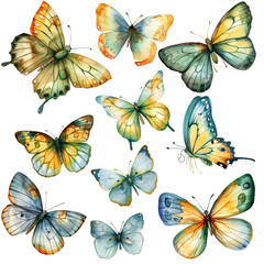 A collection of variously colored butterflies resting on a white background