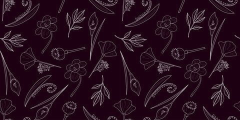 A seamless pattern featuring elegant botanical illustrations of flowers, leaves, and seed pods outlined in fine white lines on a deep plum background. Ideal for textiles, wallpapers, and branding.