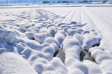 Obraz premium 東北地方の雪景色 山形県庄内