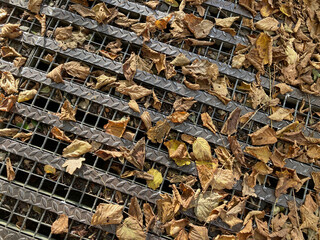 hojas de otoño caidas en el suelo tapando una alcantarilla IMG_8537-as24