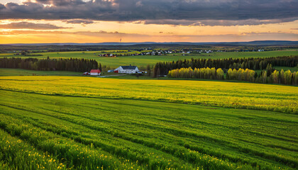 Fototapeta premium Coucher de soleil sur la campagne verdoyante