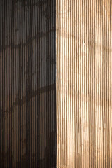 Texture of a building wall illuminated by the afternoon sun