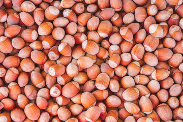 A close-up shot of freshly picked hazelnuts