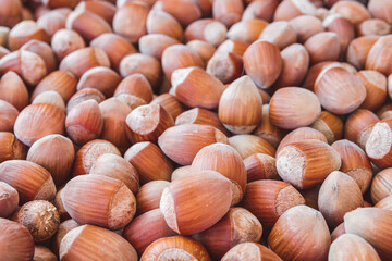 A close-up shot of freshly picked hazelnuts