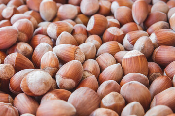 A close-up shot of freshly picked hazelnuts