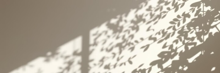 A collection of light and shadow overlays for creative photography projects, kit, digital, shadows