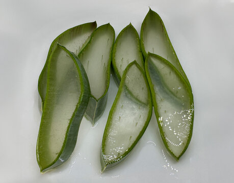 Aloe Vera Slice" Images  Browse 456 Stock Photos, Vectors, and Video |  Adobe Stock
