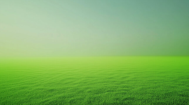 Beautiful and clean background photo that will be a blue sky meadow.