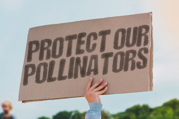 The phrase 'Protect our pollinators' is on a banner, safeguarding essential creatures that support...