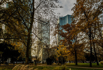 Evening, autumn view from the park to the business center, Frankfurt am Main.