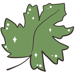 Leaf on white background.