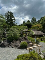 Japanese Greenery in the Summertime