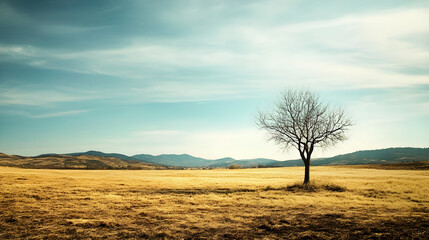 A barren, empty landscape or field to convey a feeling of emptiness
