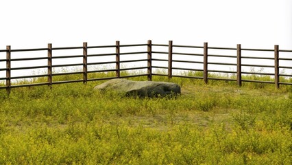 Fototapeta premium Livestock Fencing isolated on white background