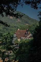 Obraz premium A green and beautiful estate