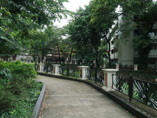 Serene Campus Walkway