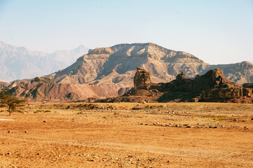 A desert landscape with a mountain in the background