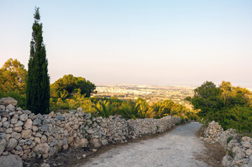 A road with a stone wall on the side and a tree in the background