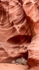 Waves of red sandstone create an intricate pattern, showcasing nature's artistry in Antelope's slot canyon. A small tumble weed nestles at the base, contrasting against the sweeping curves of rock.