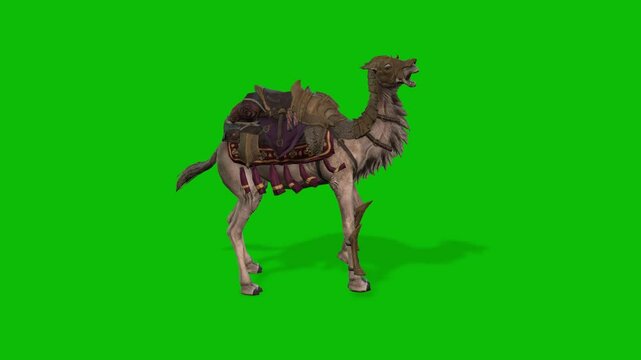Running camel background green