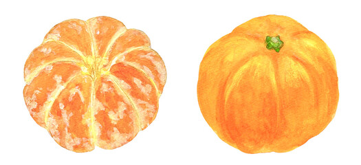 皮をむいたみかんとみかんのイラスト素材