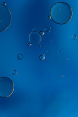 Abstract colorful bubbles. Soft background with blue tones and circles.