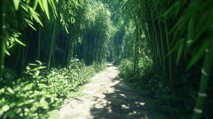 Obraz premium A jungle scene with a narrow, overgrown path cutting through thick vines and dense clusters of wild bamboo