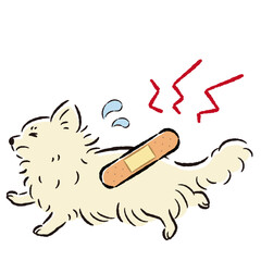 Illustration of an injured dog with a troubled expression