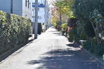 住宅街の道路