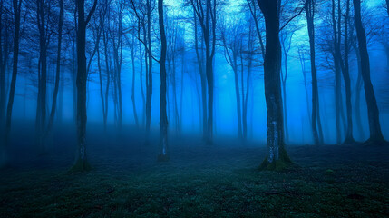 Obraz premium Enigmatic Misty Forest with Tall Trees Under a Blue Haze, Eerie Atmosphere Inviting Mystery and Intrigue in the Depths of Nature's Wilderness