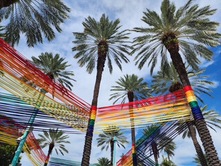 Palm tree. Summer vacation in South beach, Florida. Palm tree of Miami. Miami beach LGBT rainbow....