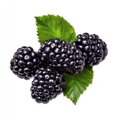 A cluster of fresh blackberries with leaves, isolated white background, abstract art style