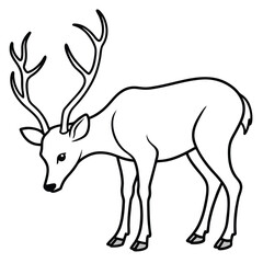 Graceful Deer Feeding in Nature Vector Illustration