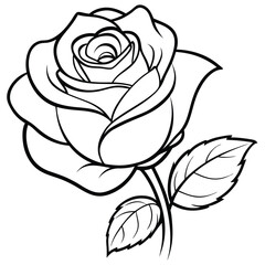 Rose Flower and Bud Icon Design Vector Illustration