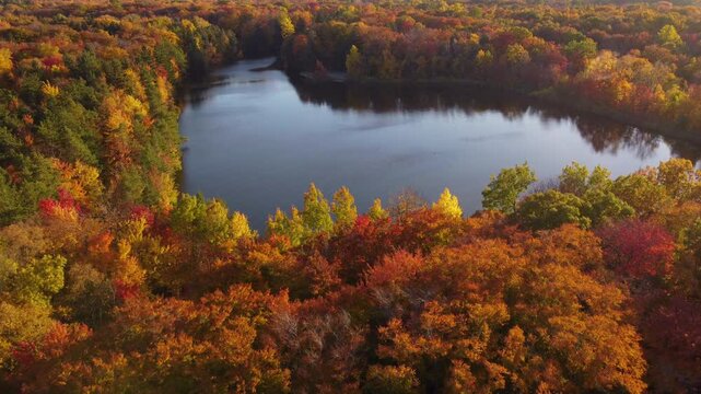 Experience the serene beauty of nature with this stunning aerial drone footage. Filmed in the late afternoon, this clip captures a picturesque pond surrounded by a breathtaking array of autumn trees.