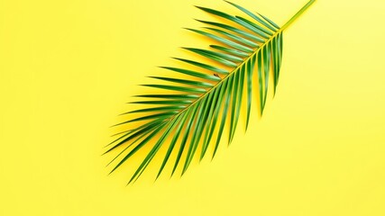 Fototapeta premium A single palm leaf branch rests on a bright yellow background, showcasing the vibrant contrast of green against yellow.