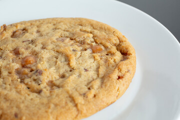 A view of a toffee cookie.