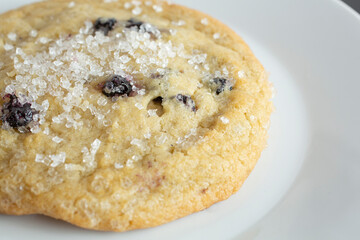 A closeup view of a blueberry sugar cookie.