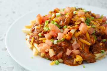 A view of a plate of chili cheese fries.