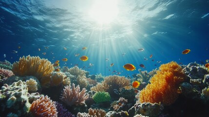 Obraz premium A vibrant coral reef with colorful fish swimming under a bright sun shining through the water.