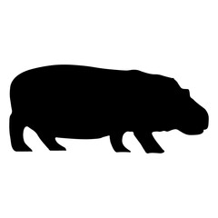 Hippopotamus