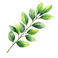 Fototapeta premium A vibrant green branch with lush leaves, symbolizing growth, freshness, and vitality, perfect for nature-themed projects or botanical designs.