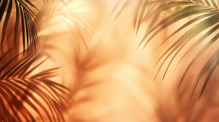 Tropical palm leaves shadows on warm orange background.