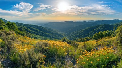 Obraz premium A beautiful mountain landscape with a sun shining on the grass