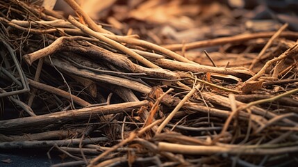 Close-up of a pile of sticks