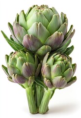 Fototapeta premium Fresh Green Artichokes
